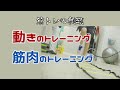 【筋トレの種類を知っておくと良いことあるかも】筋トレの種類⑤ 動きと筋肉