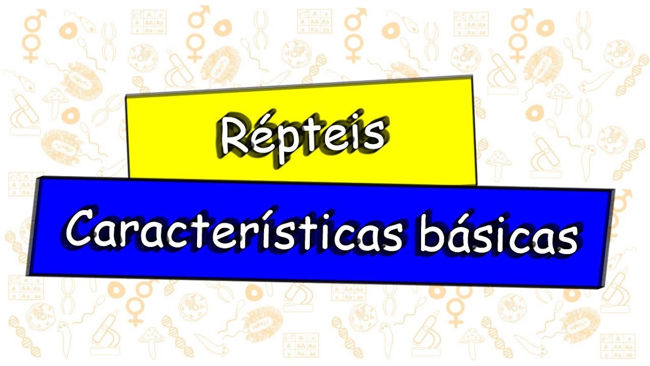 Répteis: características básicas.