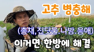 고충 병충에 지금 꼭해야 늦은면 두배로 힘들어 이거 한방이면 해결!