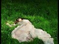 Lullaby For A Ghost