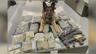 New Braunfels police arrest three, seize pounds of marijuana and over a quarter million in cash