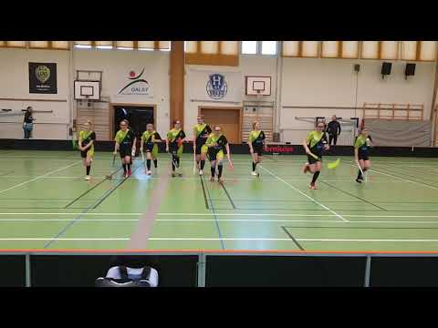 IBK Lund 07/08 DS, Tack till publiken!