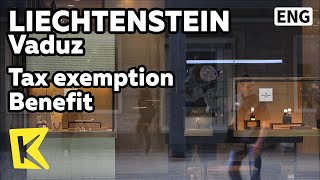 【K】Liechtenstein Travel-Vaduz[리히텐슈타인 여행-파두츠]면세 혜택 리히텐슈타인/Tax/Shopping/Bank/Corporate tax/
