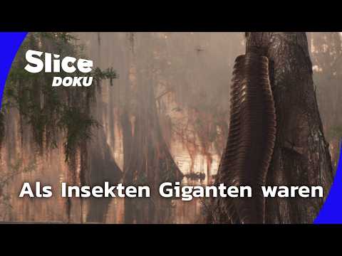 Die vergessene Urzeit | Folge 1: Als Insekten die Erde dominierten | Slice Doku