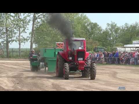 Trecker Treck Grimmen 2018 - 2,5t u 3,5t Standard | Tractor Pulling