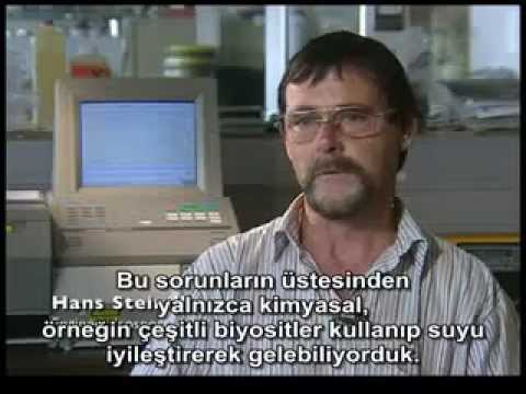 Isosport - Kayak Üreticisi