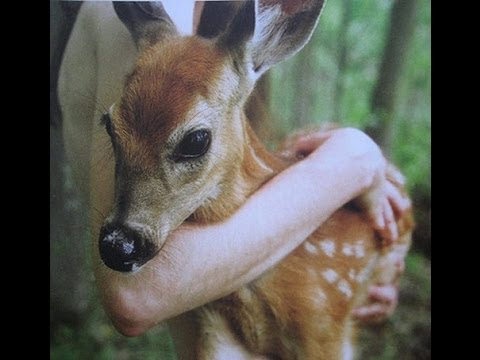 As far as you can as fast as you can - FULL ALBUM (White Lighters)