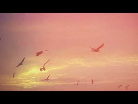 Solar State x NSH - Chasing (feat.  NEIMY) (Visualizer)