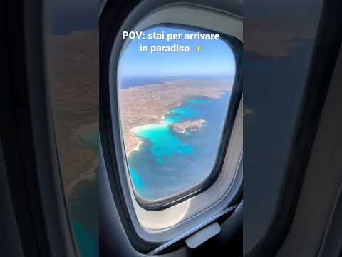 Benvenuti a Lampedusa 🐬