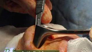 NassifMD Plastic Surgery