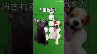 種消しオセラー