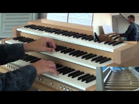 J.S. Bach: Sonata in d minor BWV 527, third movement - Willem Tanke, organ (