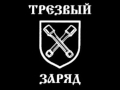 Трезвый Заряд - Для чего ты рождён 