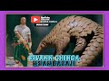 2026 JIMINOGENI DOTO MDENDELA NSHISHI NOLO OFFICIAL AUDIO By Rama Macompyuta Mpya