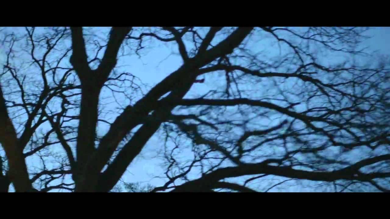 Architects — Heartburn