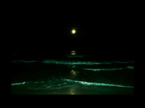 [FREE] "FREEFALL" | UFO361 x Drake DARK EMOTIONAL TRAP TYPE BEAT | prod. Jxzn