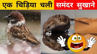 चिड़िया के सामने स�