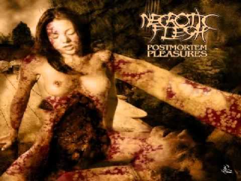 Necrotic Flesh - Prenatal Decomposed