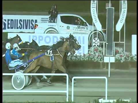 Trotto 09/01/2018 - 7ª corsa - TRIS