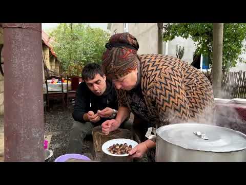 RAINY DAY HARVEST! 🌧️🌰 Grandma's Secret 5-Star Meat Pie (Borek) Recipe in the Village (4K ASMR)