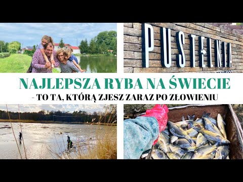 Najlepsze karpie i pstrągi w Polsce | Pustelnia