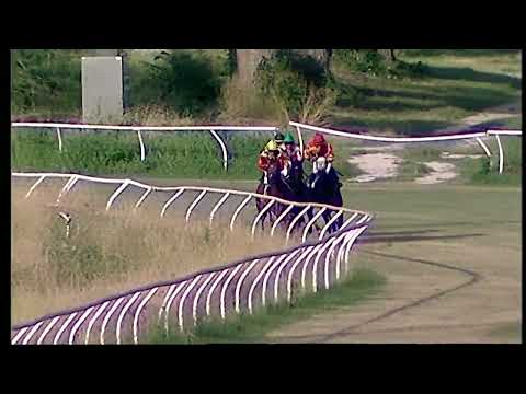 Napoli Galoppo 03/06/2022 - 5ª corsa