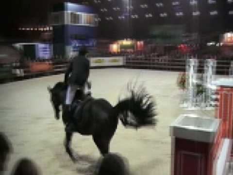 20071227 Del Piero P&B étalons 4 ans Malines