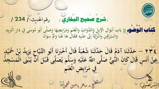 234 - شرح صحيح البخاري كِتَابٌ : الْوُضُوءُ | بَابُ أَبْوَالِ الْإِبِل - الحديث 234 || د.ماهر الفحل image