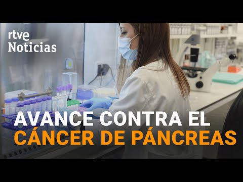 Investigadors del CNIO aconsegueixen guarir el tipus més comú de càncer de pàncrees en ratolins
