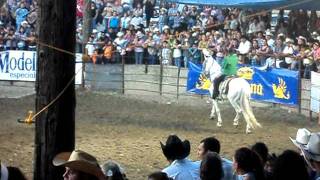 Me gusta Tener De a Dos El Chapo de sinaloa