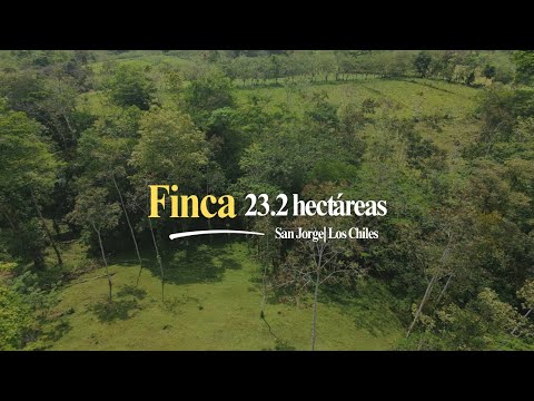 Finca 23.2 hectáreas en San Jorge de los Chiles 🇨🇷