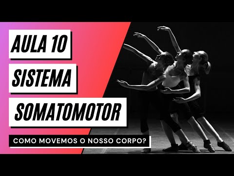 Videoaula 10 Sistema somatomotor (PARTE 1) - COMO MOVEMOS O NOSSO CORPO?
