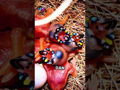 Dari Jelek Jadi Super Cantik! 😱✨