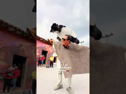 Jazz🐶 en Arcabuco, Boyacá, Colombia 🇨🇴