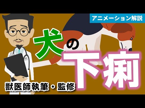 犬の下痢・嘔吐の治療法