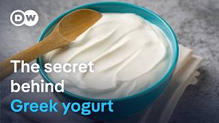 Why does Greek yogurt taste so much better than regular yogurt? We’ll find out!