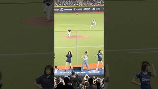 【Team Taiwan】#峮峮 陳子豪應援歌 台灣捷克國際交流賽@台北大巨蛋 20241103 #台湾チア #cheerdance #cheerleading  #teamtaiwan