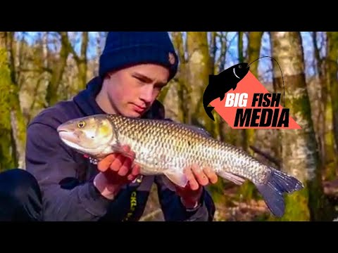 Friedfischangeln im Winter mit dem Futterkorb