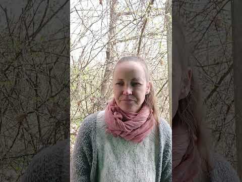 Moje duhovno antropozofsko ozadje