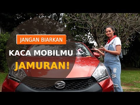 Menurunkan berat badan dengan bantuan minyak milk thistle Makan hudey soba
