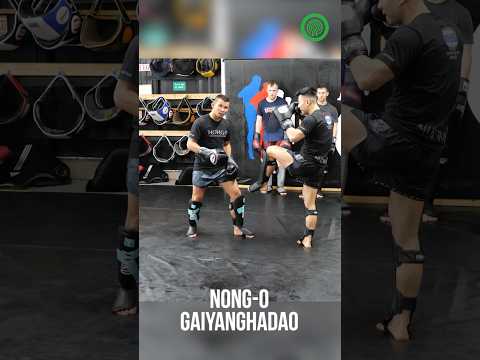 Muay Thai Training – Fast Feint Sweeps with Nong-O Gaiyanghadao