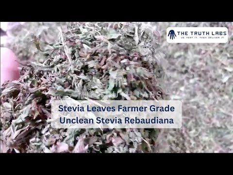 Stevia extract powder (stevia rebaudiana) (stevia, meethi tu...