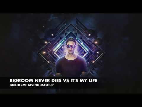 Hardwell & Blasterjaxx vs Bon Jovi - Bigroom Never Dies vs It's My Life (Guilherme Alvino Mashup)