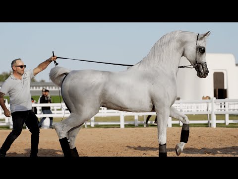 RAWDAT ETHANYA - The first ever Open Day