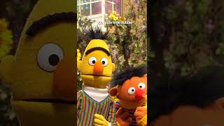Knock Knock Jokes with Bert and Ernie #sesamestreet