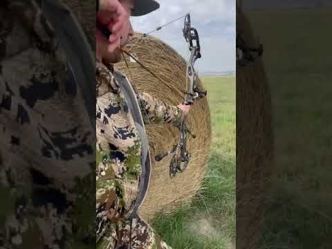 September things 🏹 #antelope #pronghorn #archery #bowhunting #bowhunt #hunting #bowseason #wyoming
