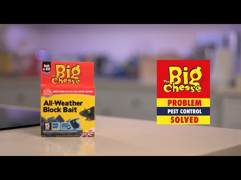 The Big Cheese All-Weather Block Bait² - 15x10g - STV212