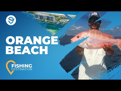 Orange Beach Fishing: All You Need to Know | FishingBooker