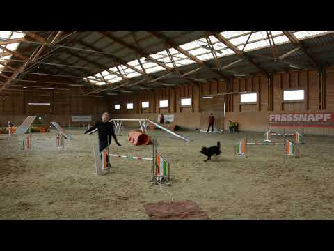 B.Fly Agility Team - TordasZoo Március Kupa - 2020.03.08.