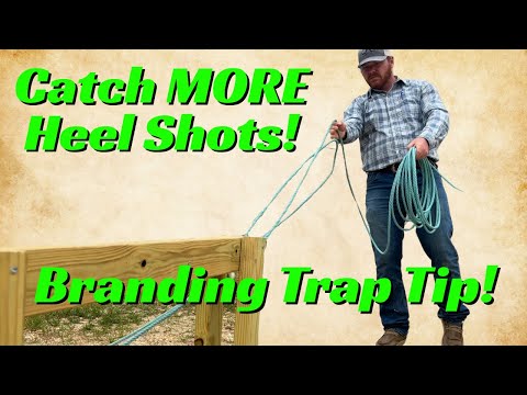 Tips For Heeling with a Poly Ranch Rope | Roping in the Branding Trap